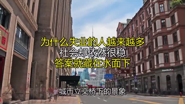 大陆失业率太吓人了😟