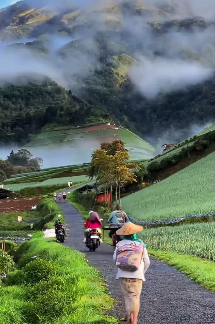 风景如画