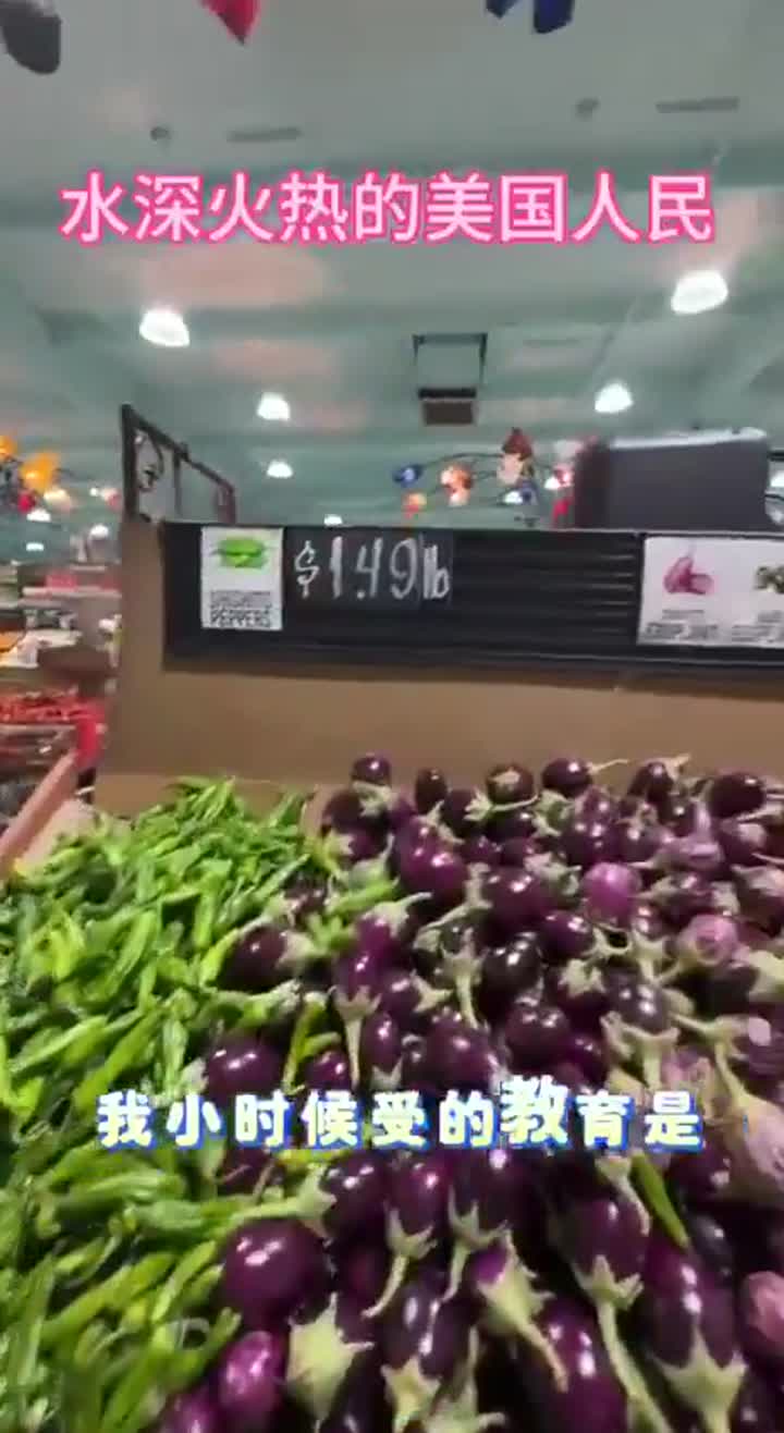 中国每四个成年人就业还得养一个畜生