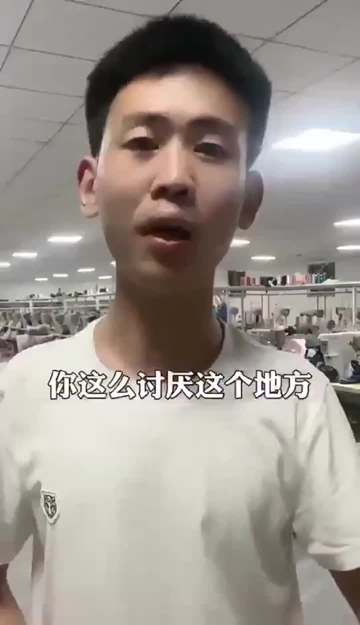 远离大陆傻逼小粉红