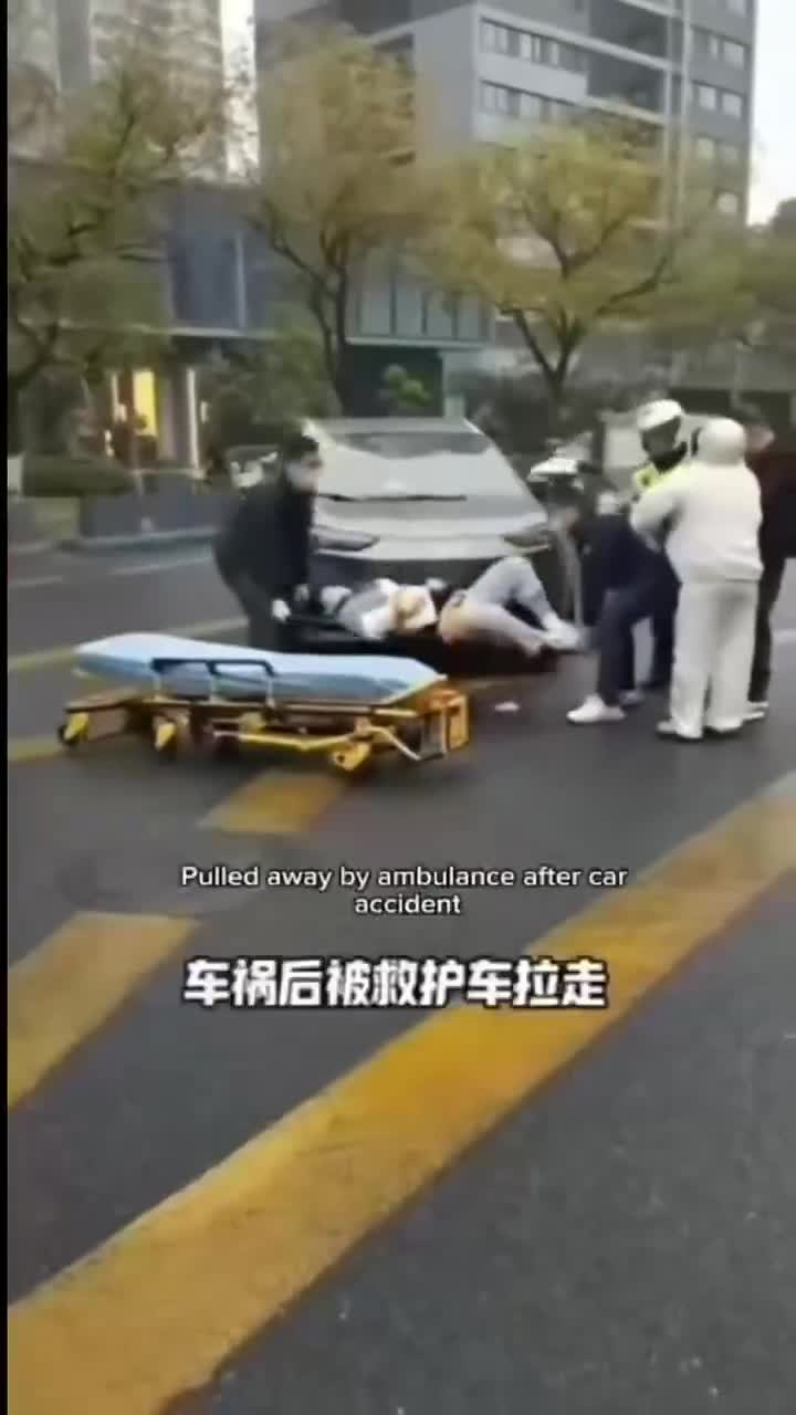 器官大國