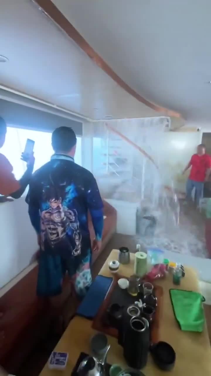 傻逼猪的世界!