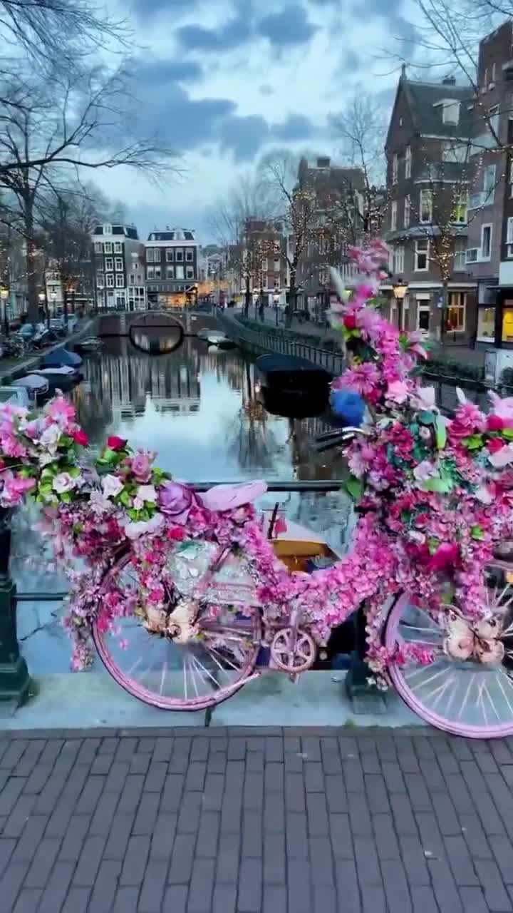 Netherlands 🇳🇱