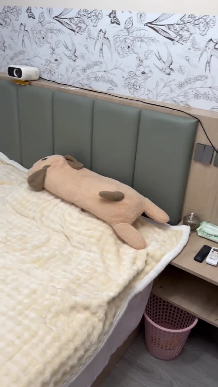 经济下行,个体户太多了