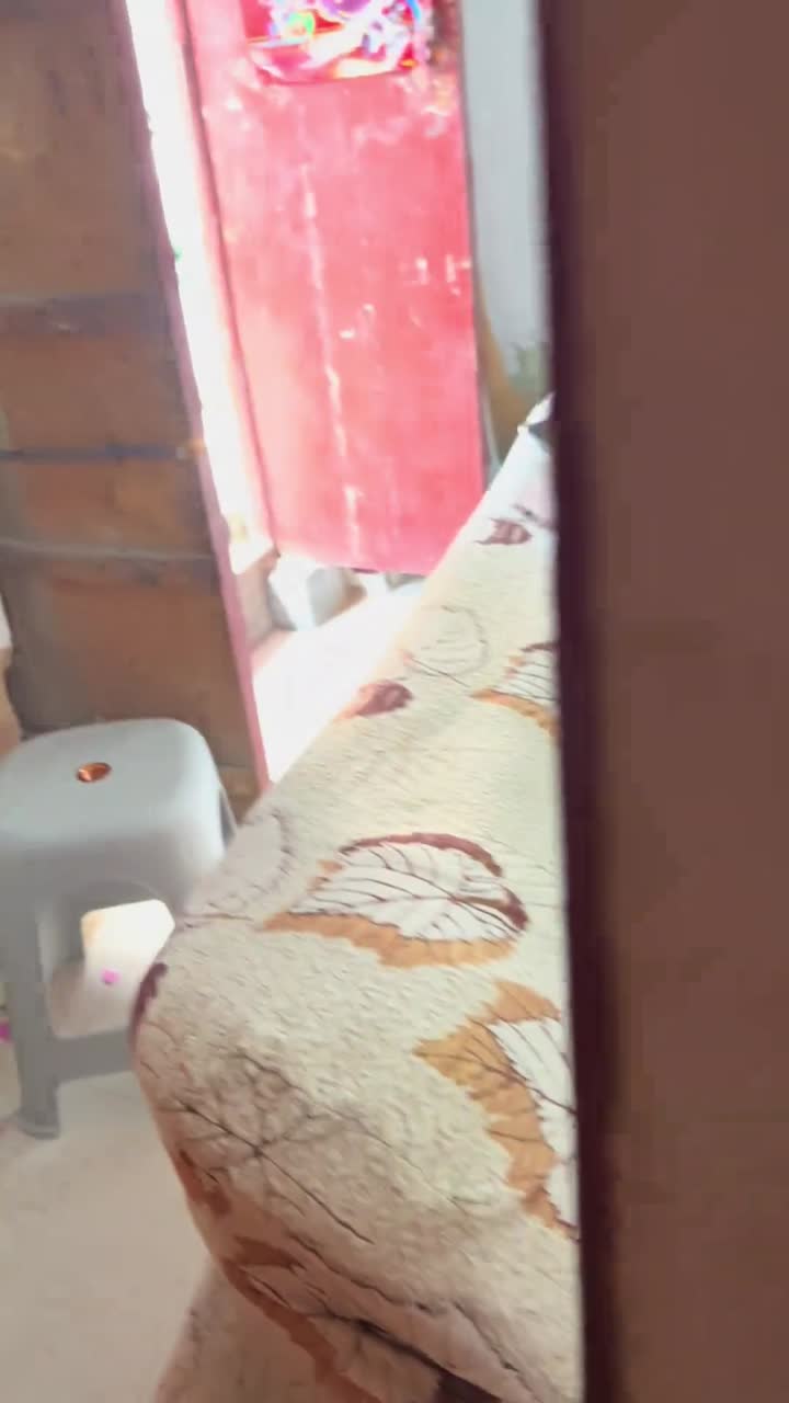 团播
