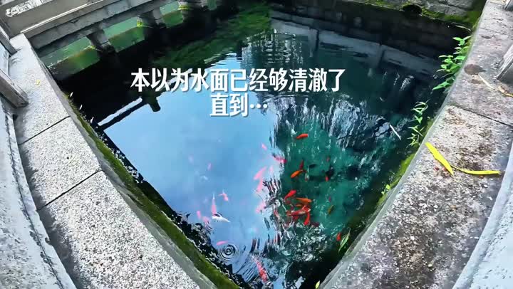 清澈见底