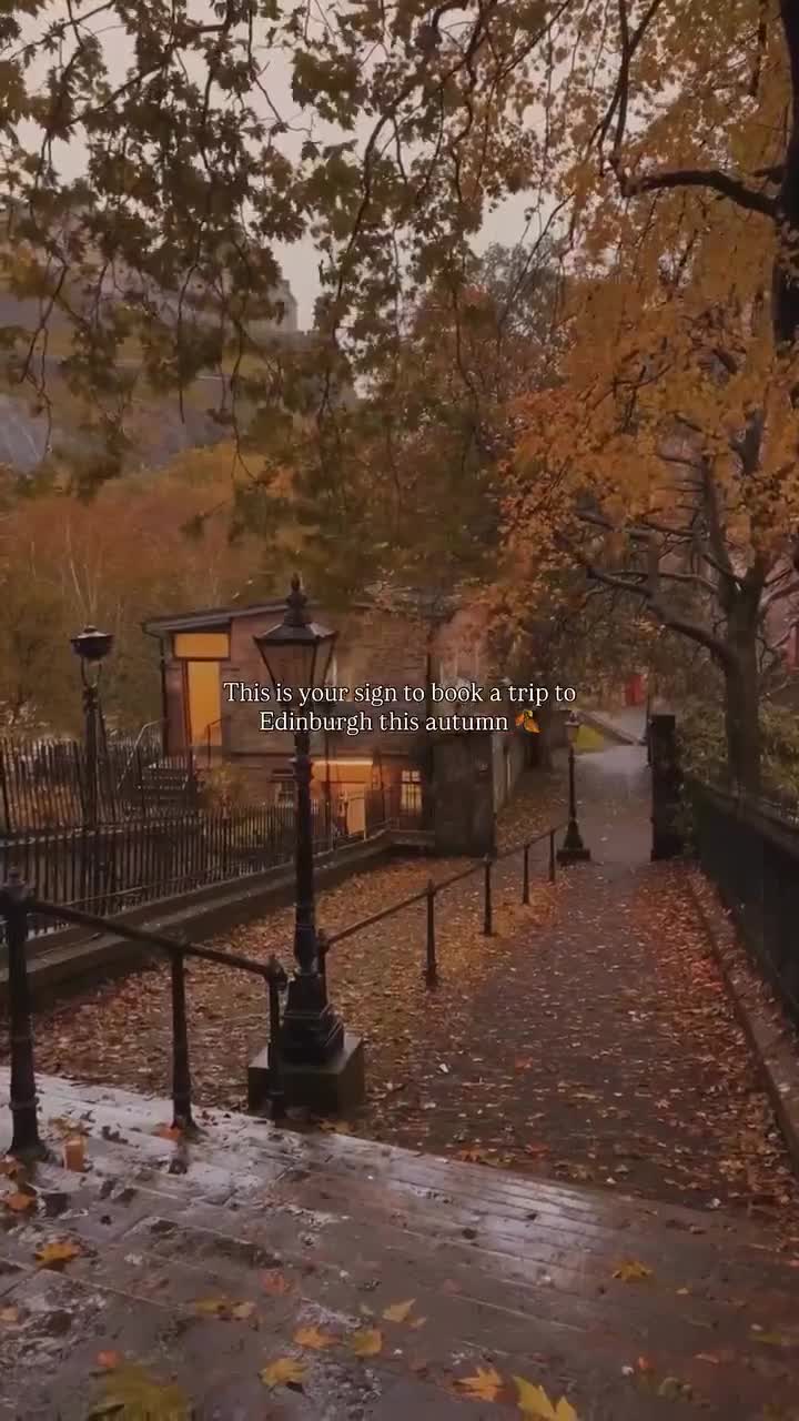 🏯……