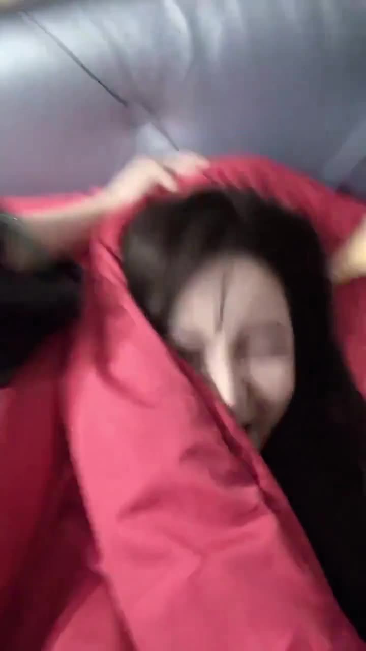 单身🐶……