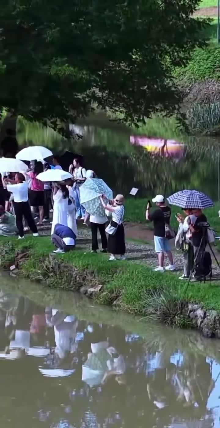 《老农牵牛图》