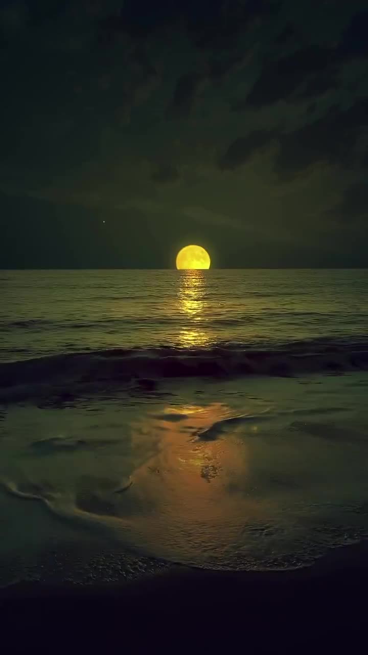Sun Sea
