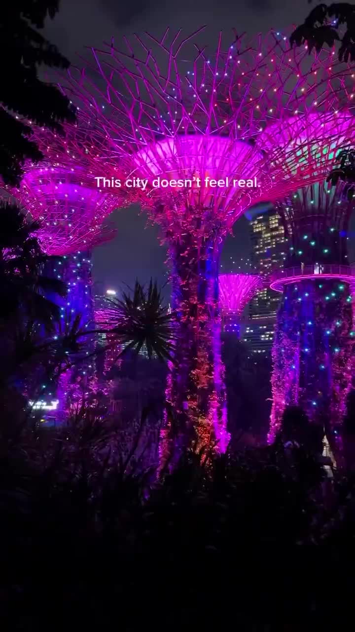 🇸🇬
