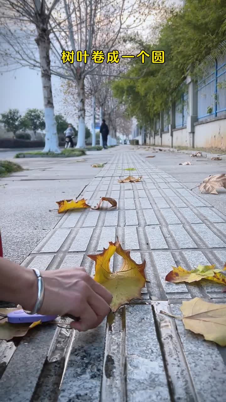 这高级感