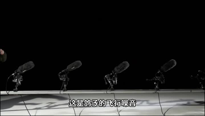 猫头鹰🦉……