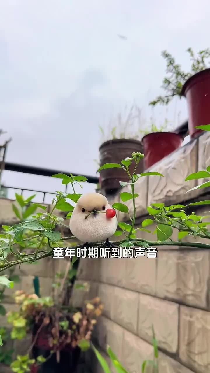 童年声音🔊