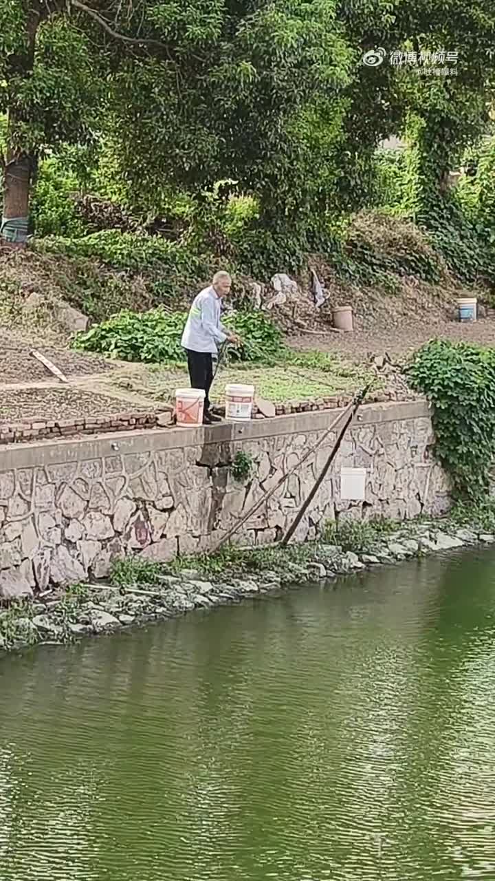 办法总比问题多