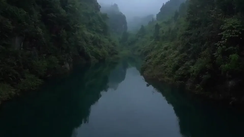 The Weight of A Voice