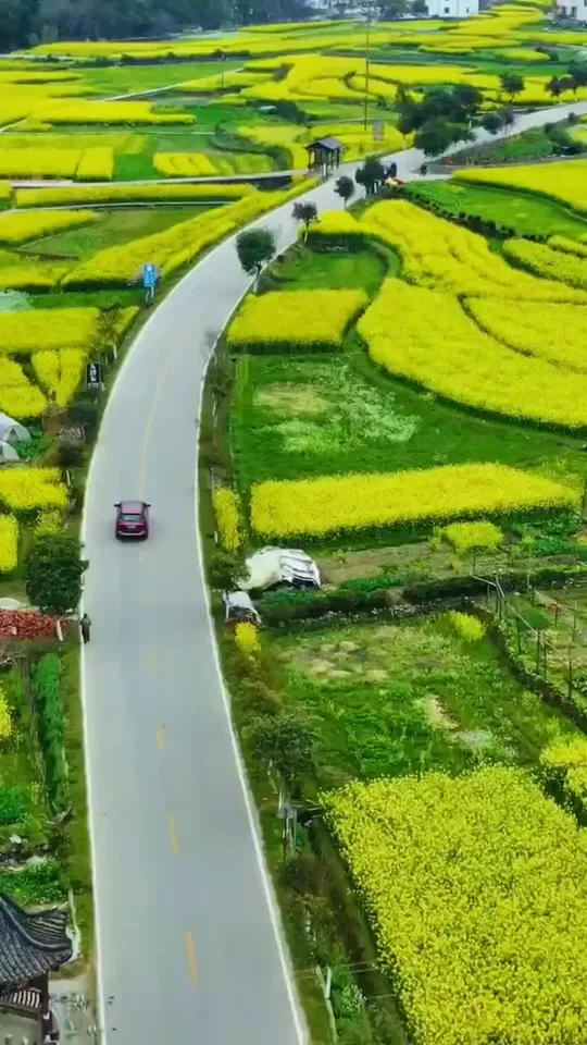 Rural Wuyuan