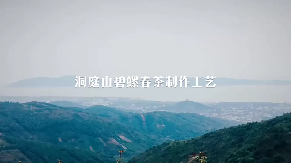 Chinese tea making