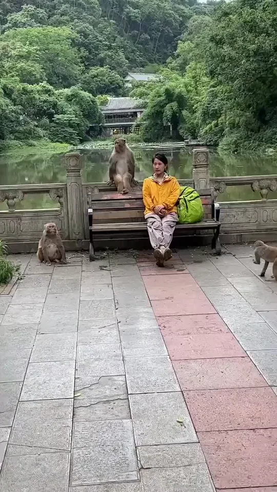 We are friends