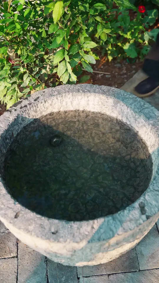 龍泉青磁