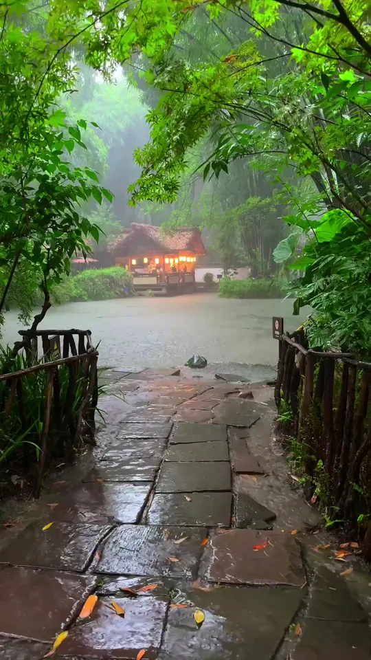 Rainy days in Chengdu