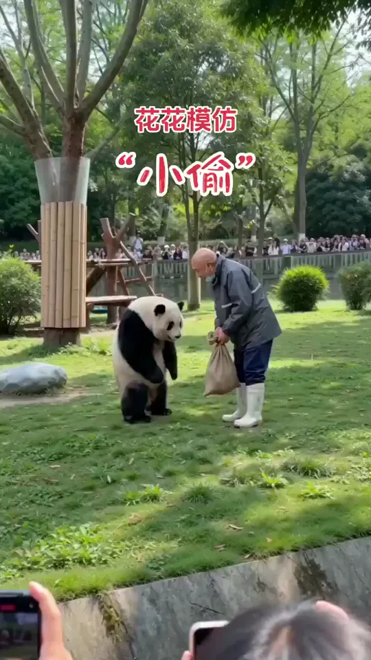 Panda actor