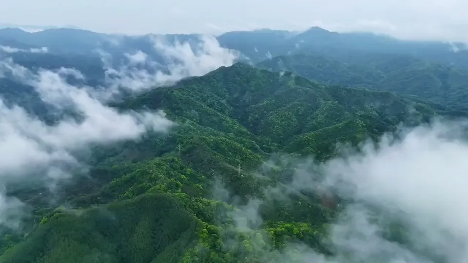 HUIZHOU