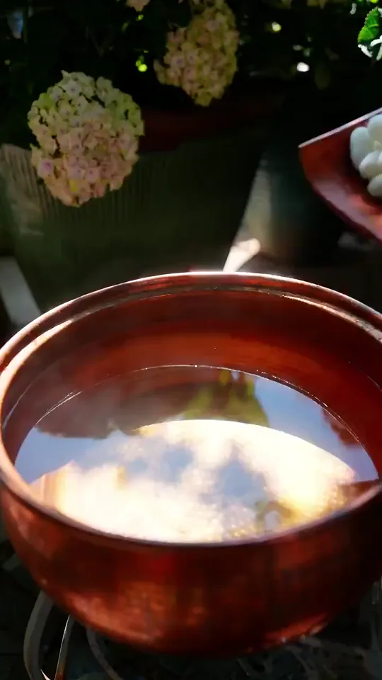 Chinese Silk