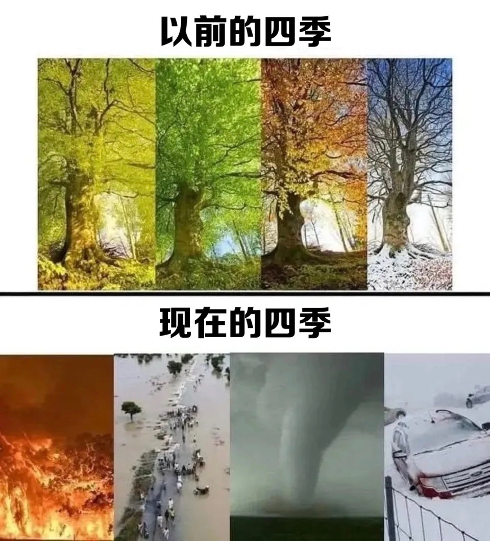 好像真的是