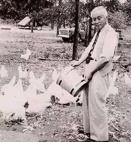 1949年冬，他去了美国，找人借了两万美金买了一个养鸡场。他自己打理鸡场，还制作皮蛋、咸蛋、豆腐乳、粽子，为唐人街中餐馆供货。闲时，他担任普